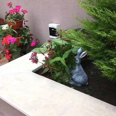 Aparthotel Vase *