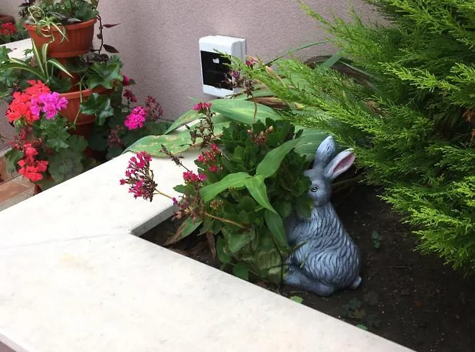 Hotel apartamentowy Vase 3*