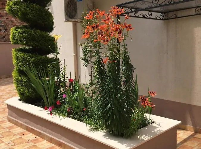 Vase Hotel apartamentowy Rawda