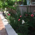 מלון דירות Vase 3*