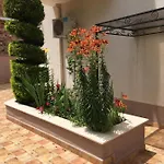 Vase מלון דירות רבדה