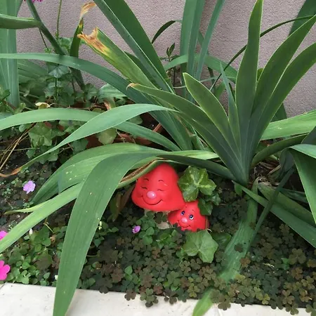 Vase アパートホテル ラヴダ