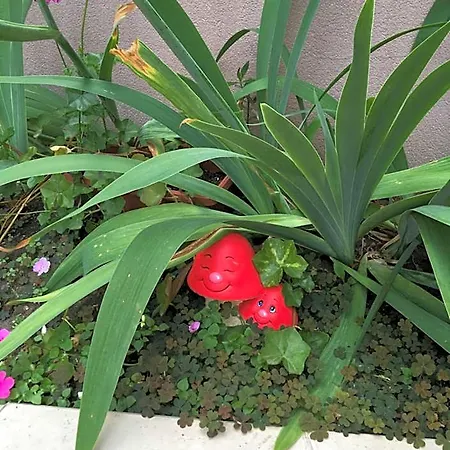 Vase ラヴダ
