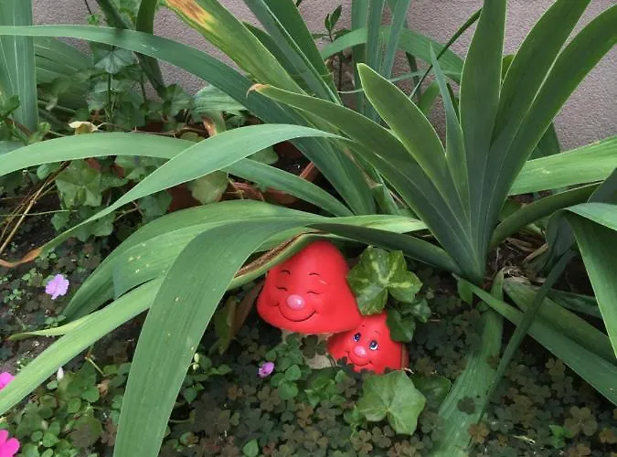 Vase Apart-hotel Ravda